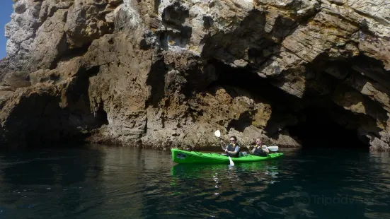 Cathedral Cove Kayak Tours