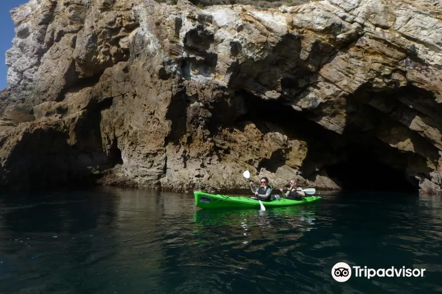 Cathedral Cove Kayak Tours