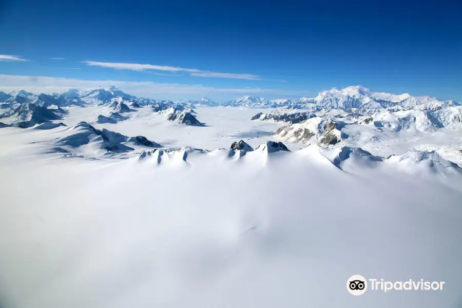 Icefield Discovery