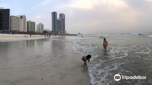 Ajman Beach