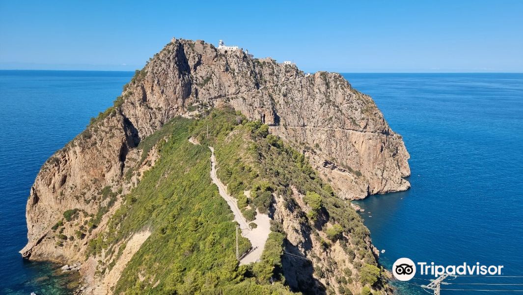 Goiania to Bejaia Flights
