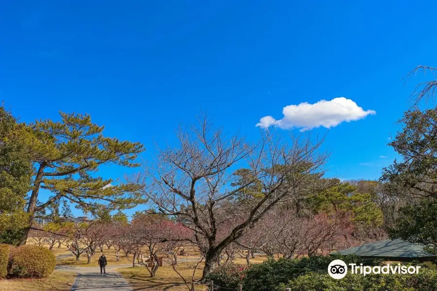 Okazaki Minami Park