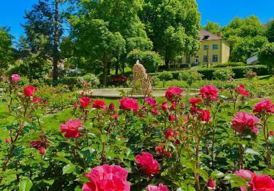 Rosarium Bad Sauerbrunn