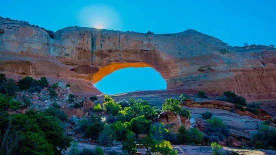 Wilson's Arch