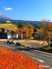 Roadside Station Kirishima-Hot Kirishima Hall