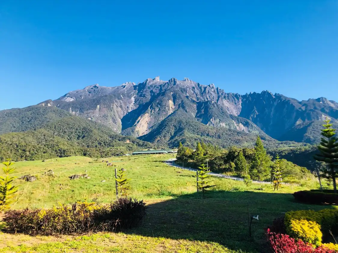 Hotels near Desa Dairy Farm