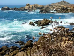 Salt Point State Park