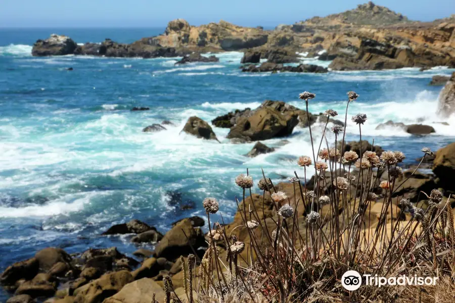 Salt Point State Park