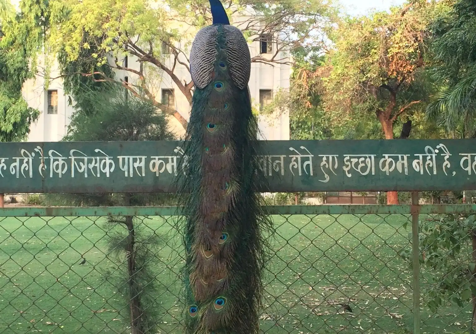 Hotels near Gujarat Vidyapith