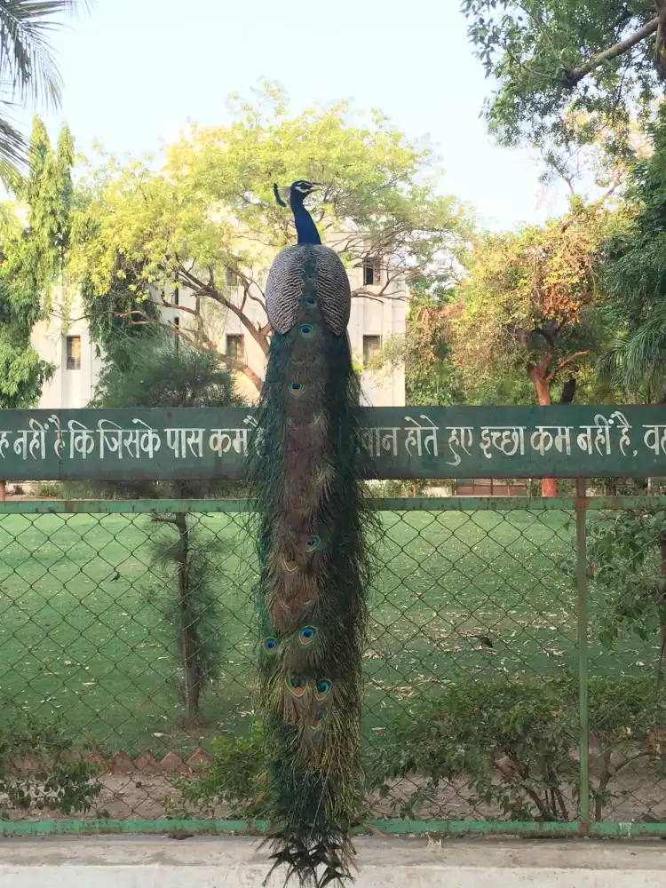 Hôtels à proximité de : Gujarat Vidyapith