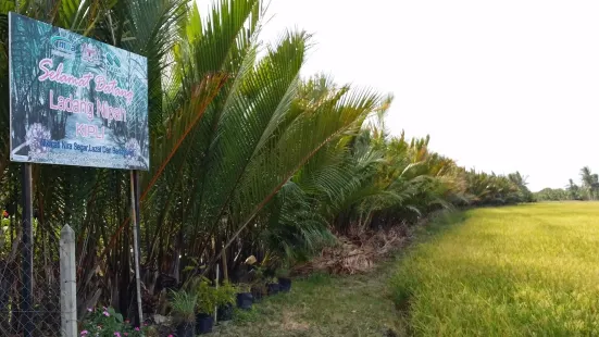 Ladang Nipah Kipli, Sanglang, Perlis