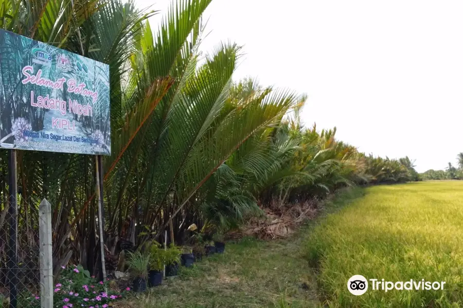 Ladang Nipah Kipli