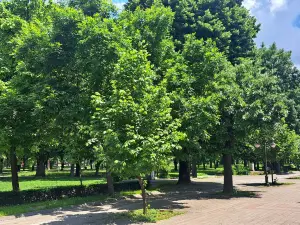 City Park