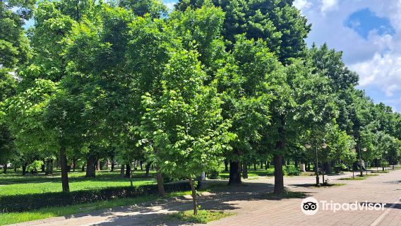 Bitola City Park