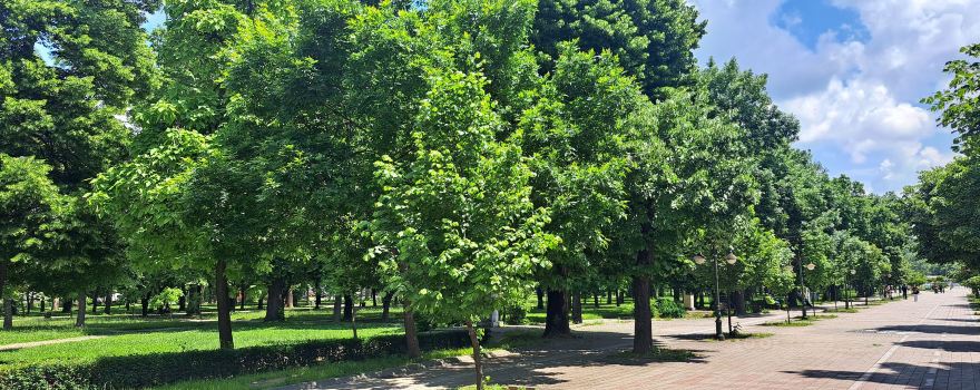 City Park