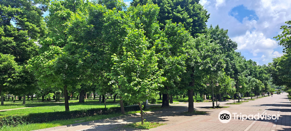 Bitola City Park