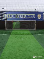 Goals Soccer Centre