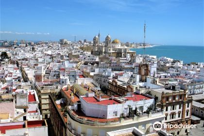 Premium Photo  Aerial view of the town of conil de la frontera from the  torre de guzman cadiz andalusia