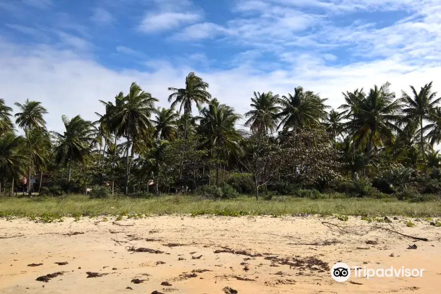 Praia do Grauca