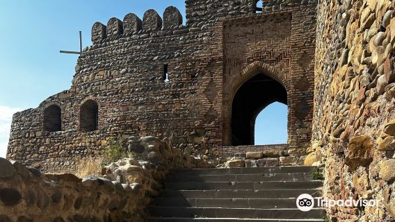 Castillo de Gori