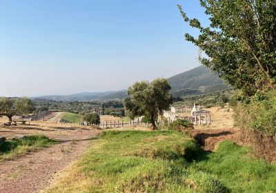 Ancient Messini Stadium