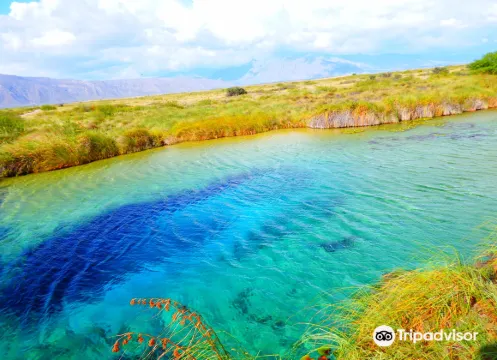 誇特羅謝內加斯