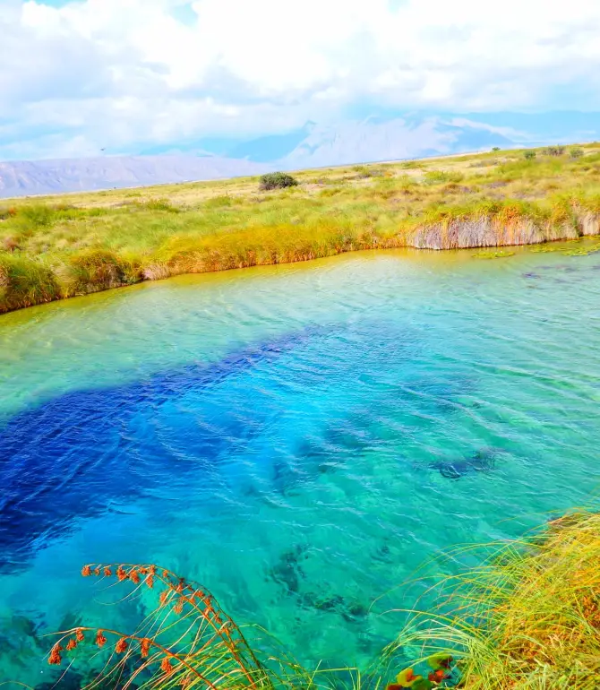 Cuatro Cienegas