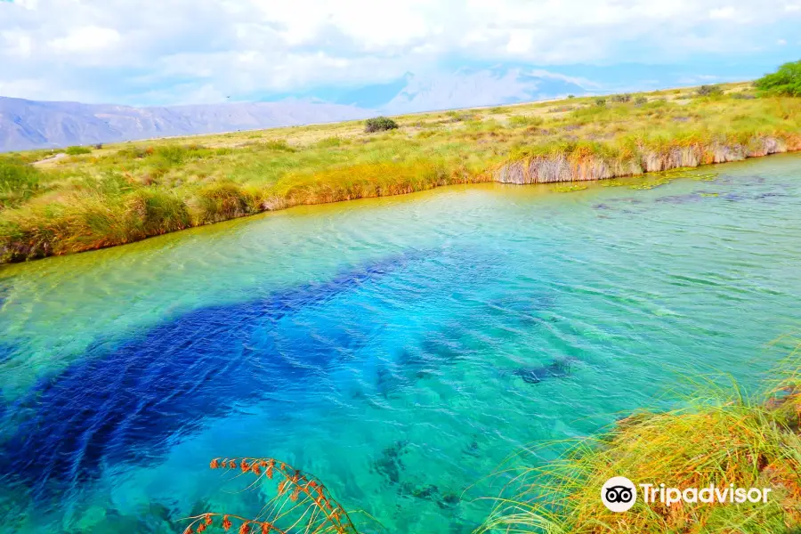 Poza Azul