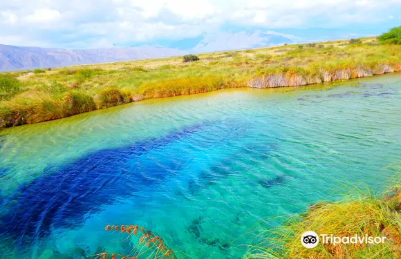 誇特羅謝內加斯