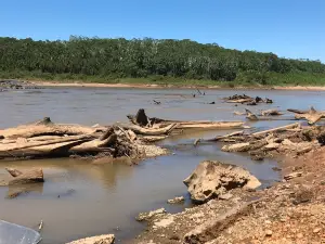 Tambopata River