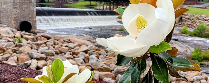 Gibson Pond Park