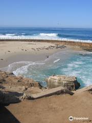 Children's Pool La Jolla