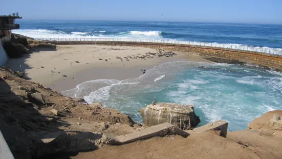 Children's Pool La Jolla