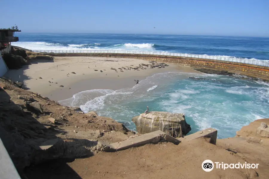 Children's Pool La Jolla