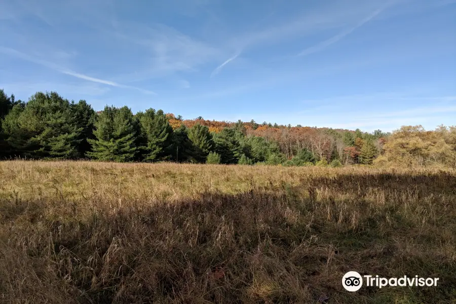 Logan Hill Nature Preserve