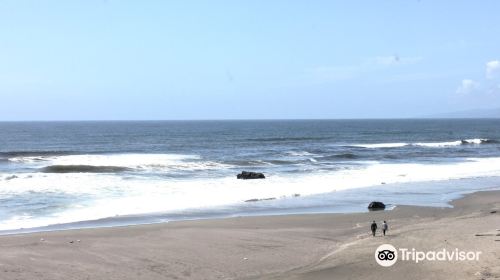 Salmon Creek State Beach