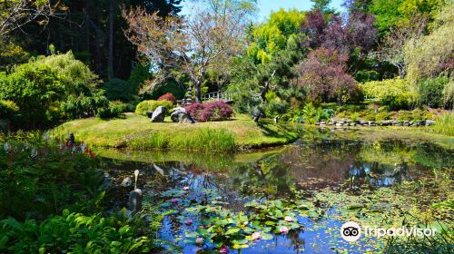 Japanese Garden