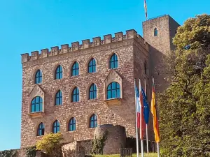 Castello di Hambach