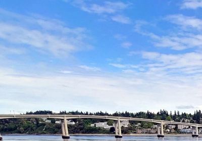 Manette Bridge