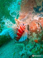 Sunken Japanese Wrecks