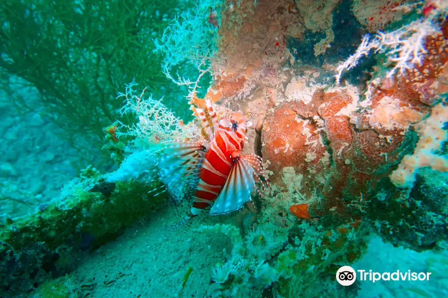 Sunken Japanese Wrecks