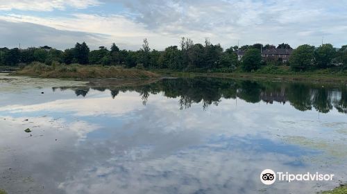 Booterstown Bird Sanctuary