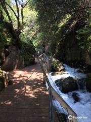Banias Waterfall