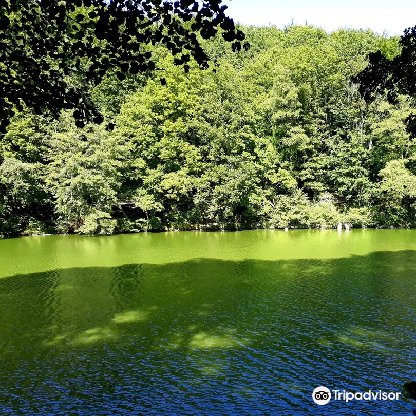 3_Bratislava Forest Park