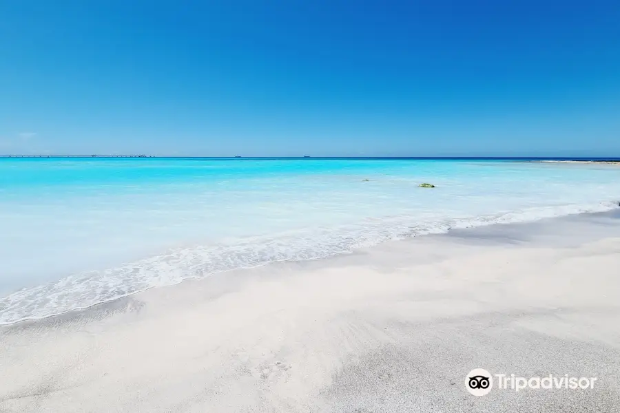 Spiagge Bianche - Nuovo Futuro