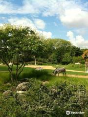 Jardín zoológico de Lyon