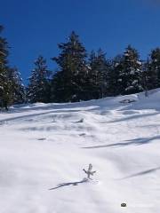Kaimaktsalan Ski Center - Voras