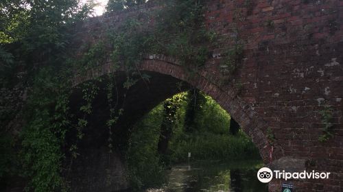 Thames and Severn Canal