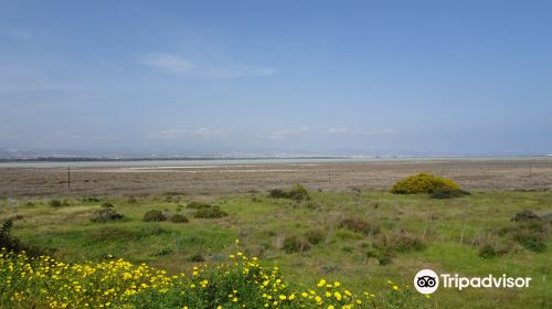 Akrotiri Salt Lake