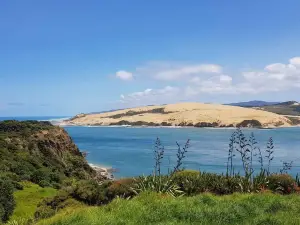 Pakia Hill Lookout